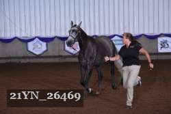 21YN_26469 thumbnail