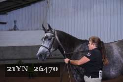 21YN_26470 thumbnail