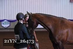 21YN_26473 thumbnail