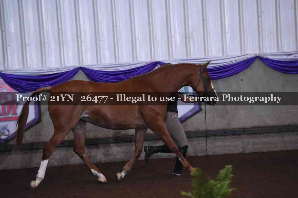Proof Number 21YN_26477