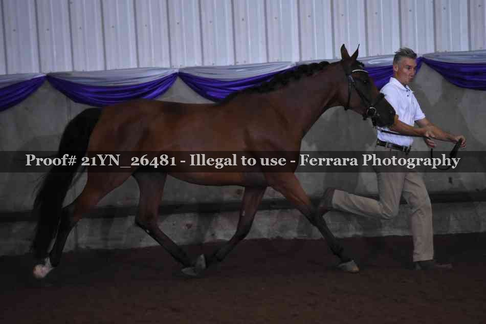 Proof Number 21YN_26481