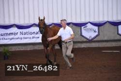 21YN_26482 thumbnail