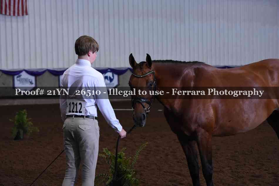 Proof Number 21YN_26510