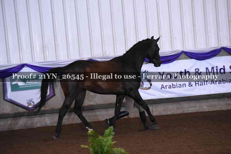 Proof Number 21YN_26545