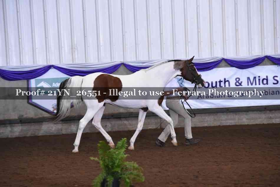 Proof Number 21YN_26551