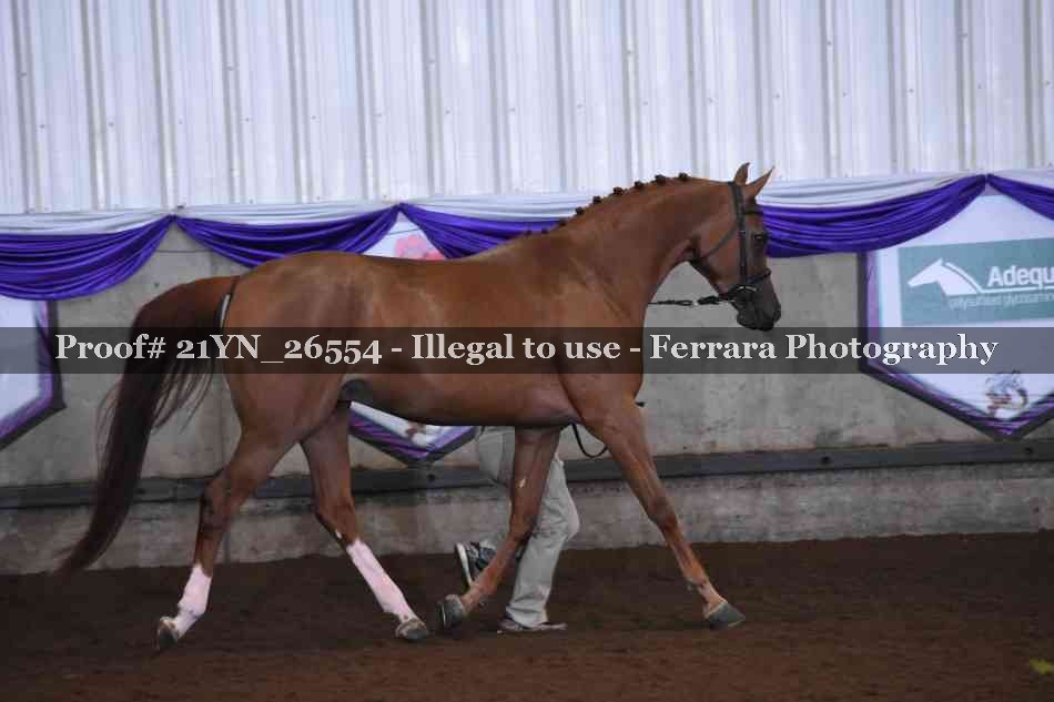 Proof Number 21YN_26554