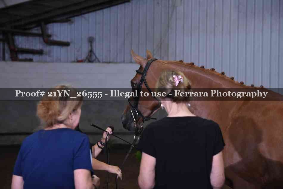 Proof Number 21YN_26555