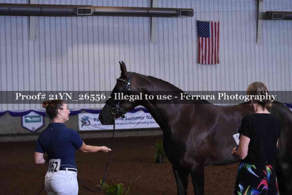 Proof Number 21YN_26556