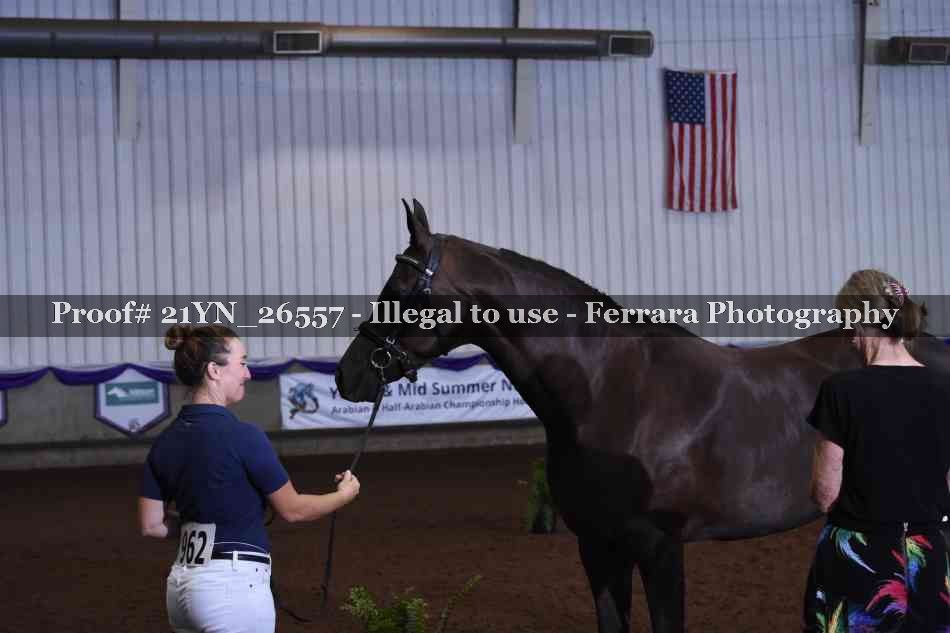 Proof Number 21YN_26557