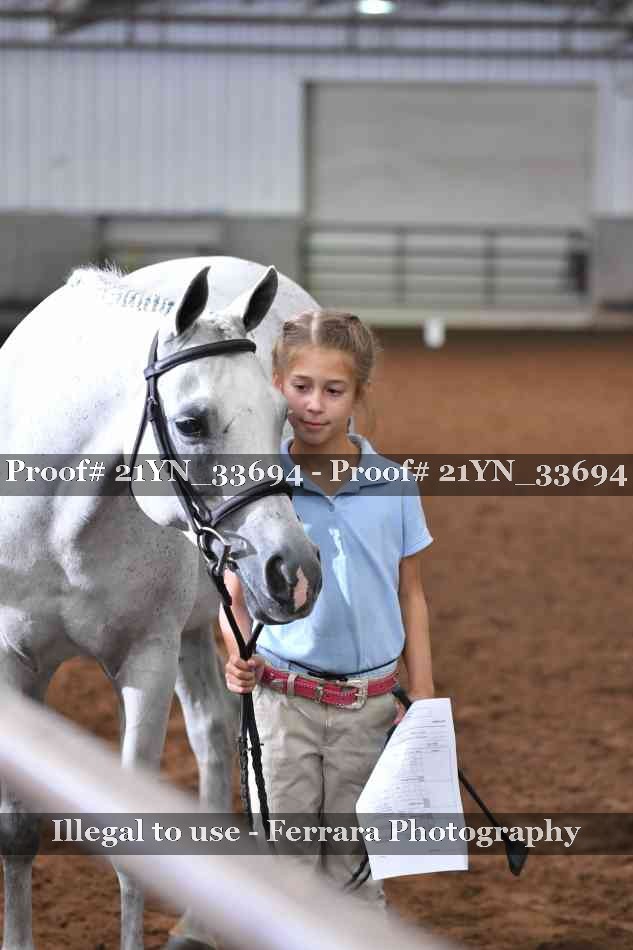 Proof Number 21YN_33694