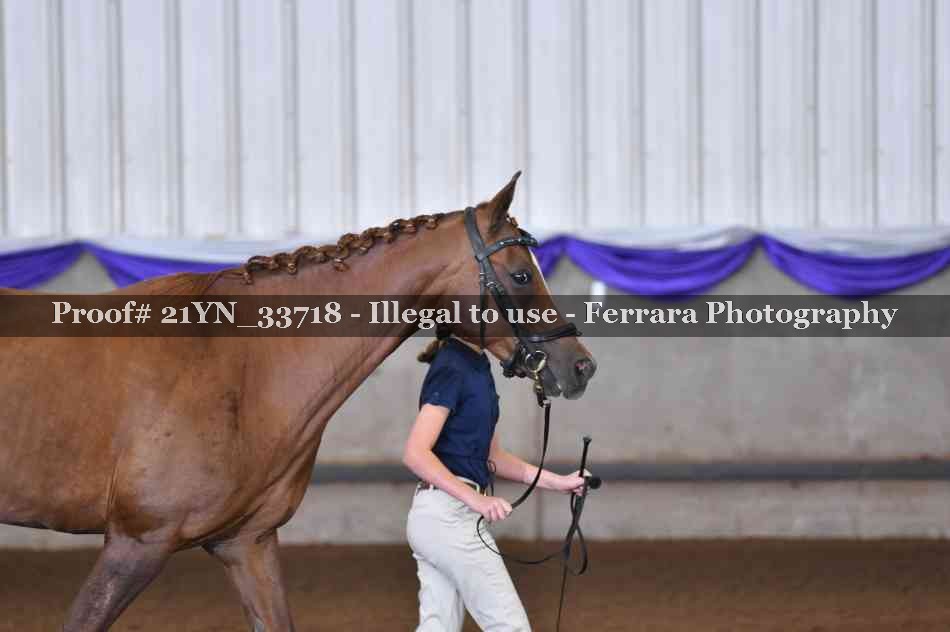 Proof Number 21YN_33718