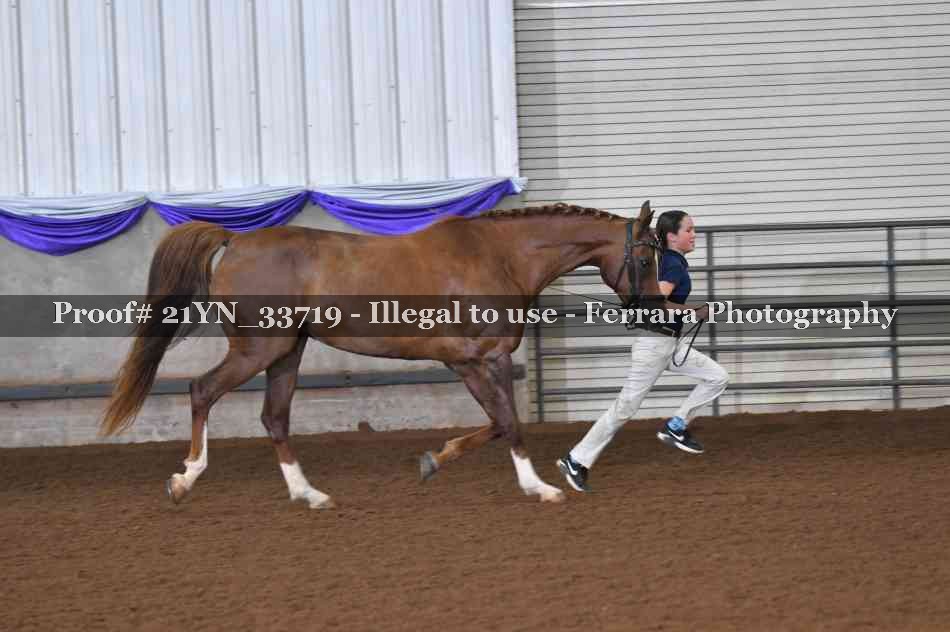 Proof Number 21YN_33719