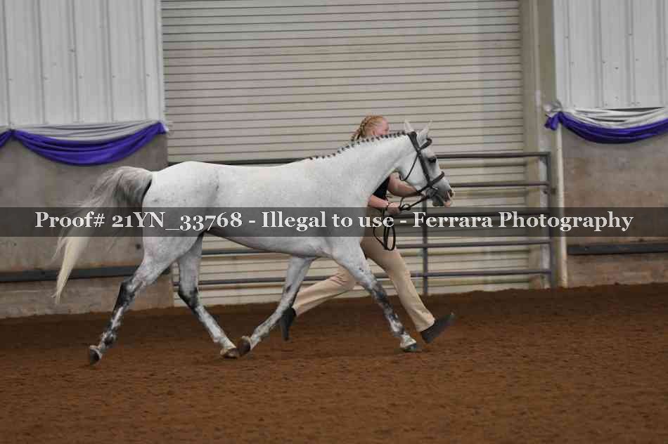 Proof Number 21YN_33768