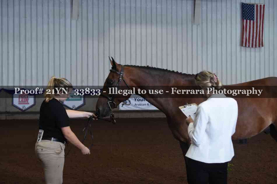 Proof Number 21YN_33833