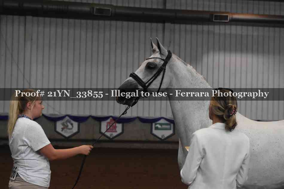 Proof Number 21YN_33855