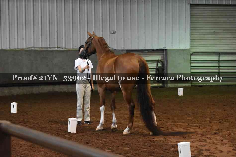 Proof Number 21YN_33902