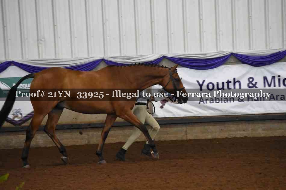 Proof Number 21YN_33925