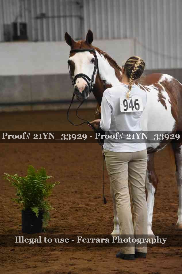 Proof Number 21YN_33929