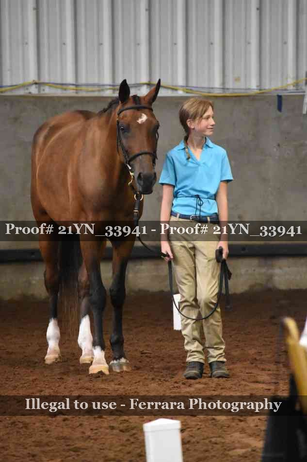 Proof Number 21YN_33941