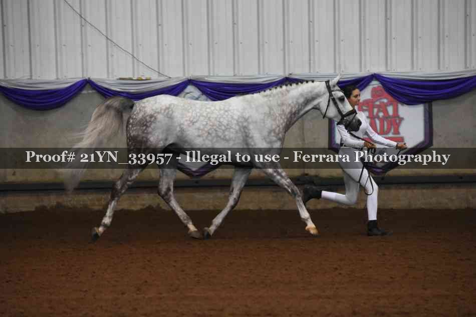 Proof Number 21YN_33957