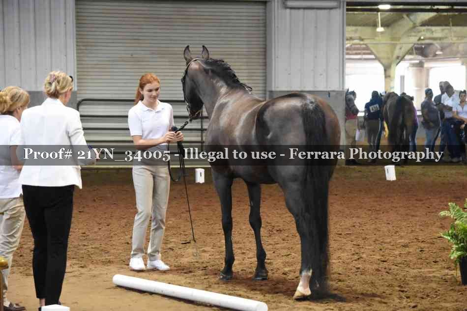 Proof Number 21YN_34005