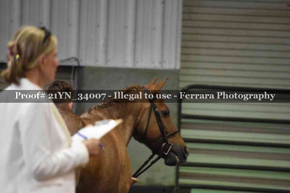 Proof Number 21YN_34007