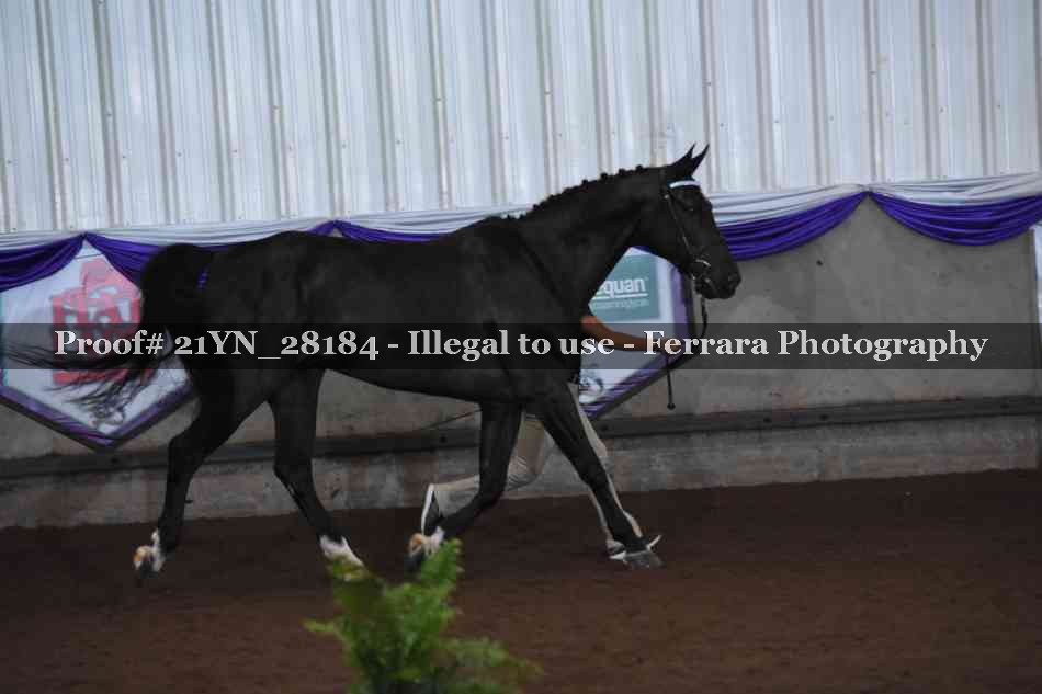 Proof Number 21YN_28184