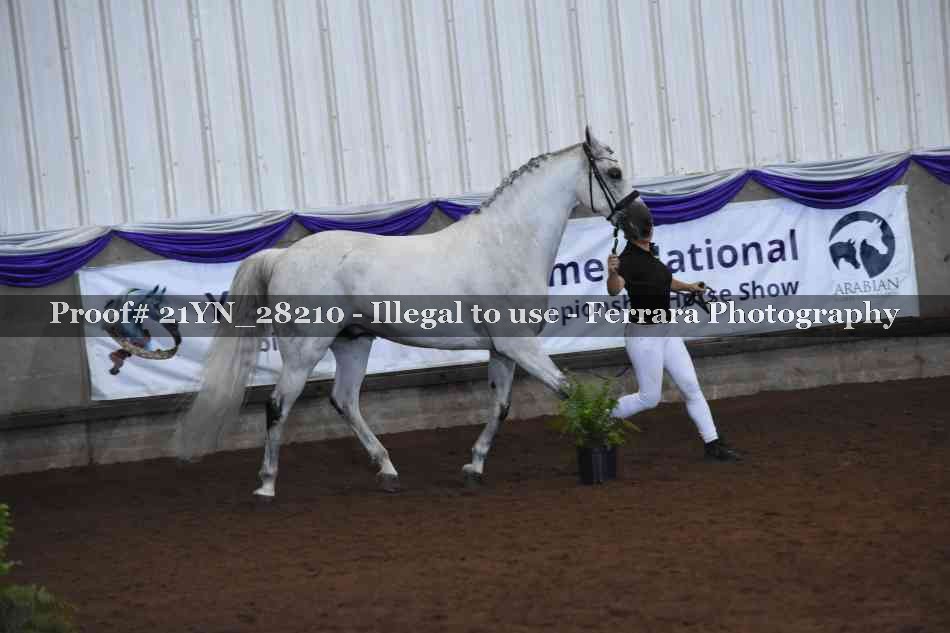 Proof Number 21YN_28210