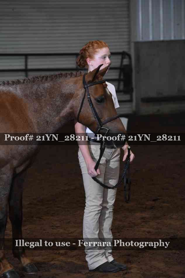 Proof Number 21YN_28211