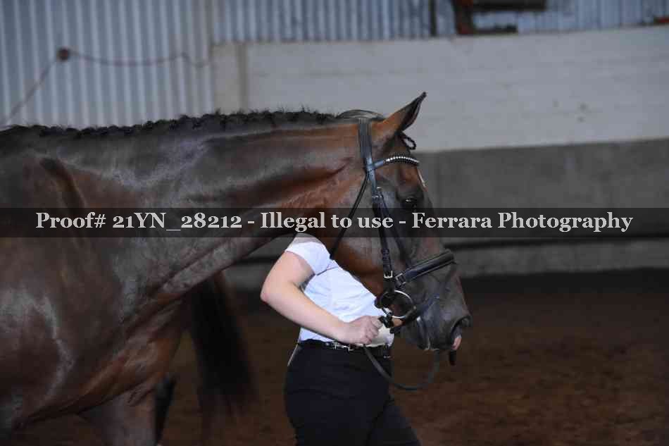 Proof Number 21YN_28212