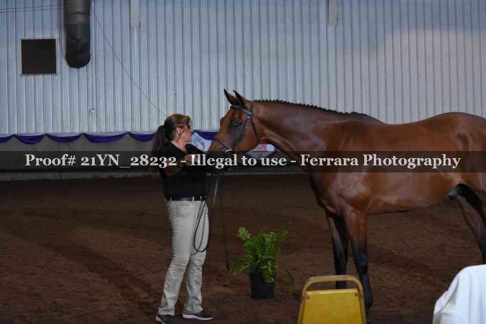 Proof Number 21YN_28232