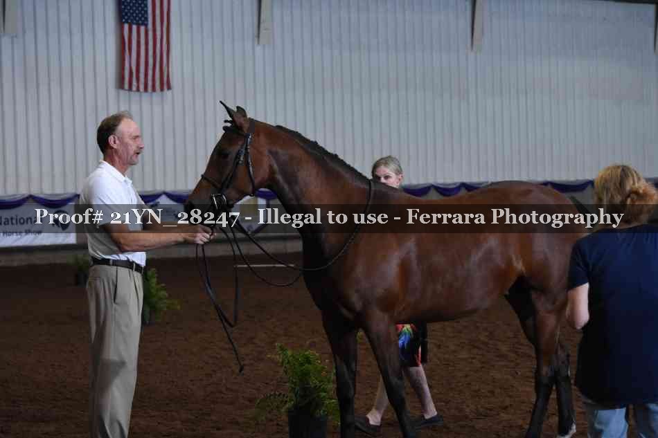 Proof Number 21YN_28247