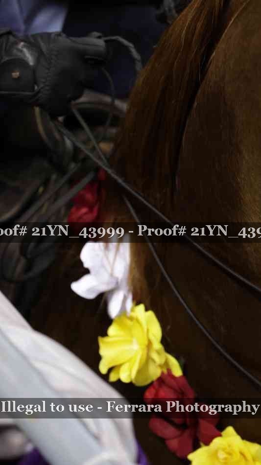Proof Number 21YN_43999