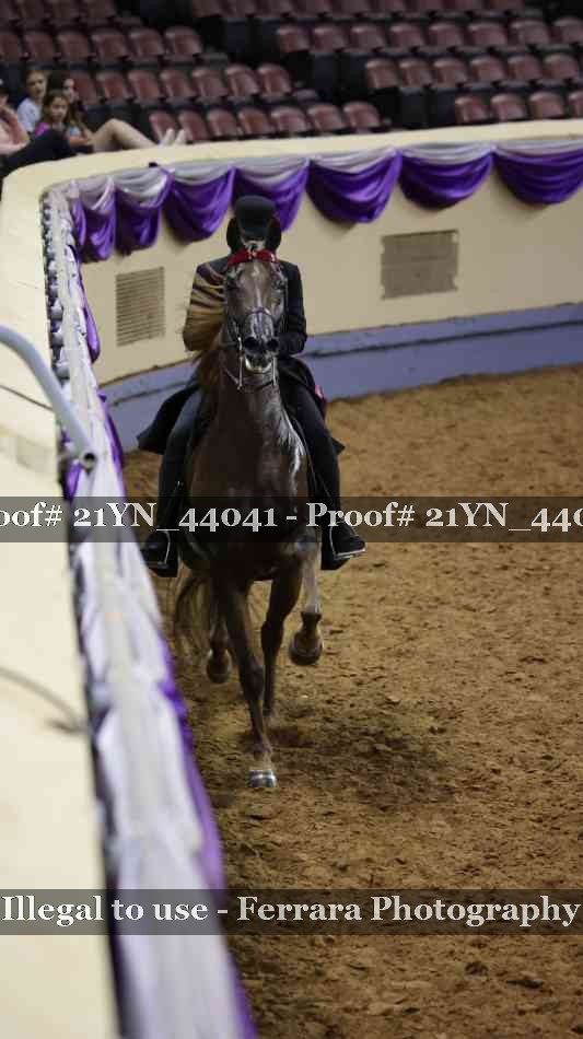Proof Number 21YN_44041