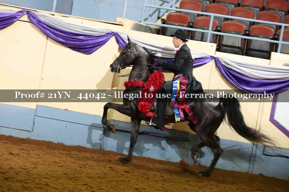 Proof Number 21YN_44042