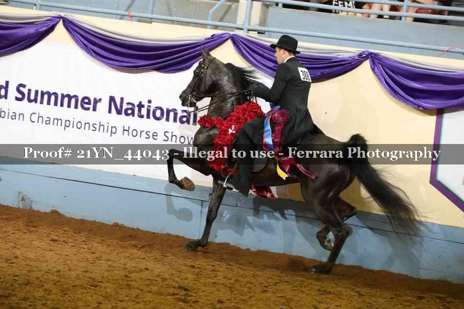 Proof Number 21YN_44043