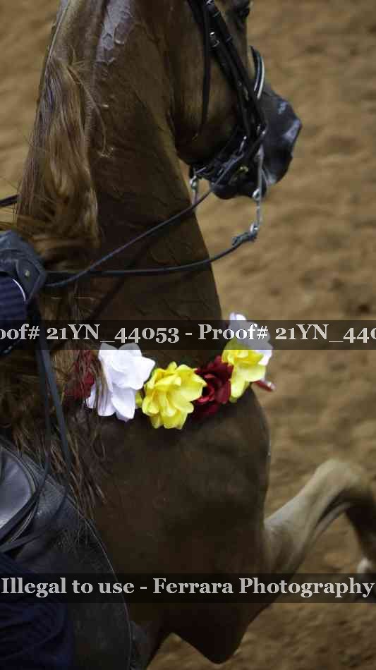 Proof Number 21YN_44053
