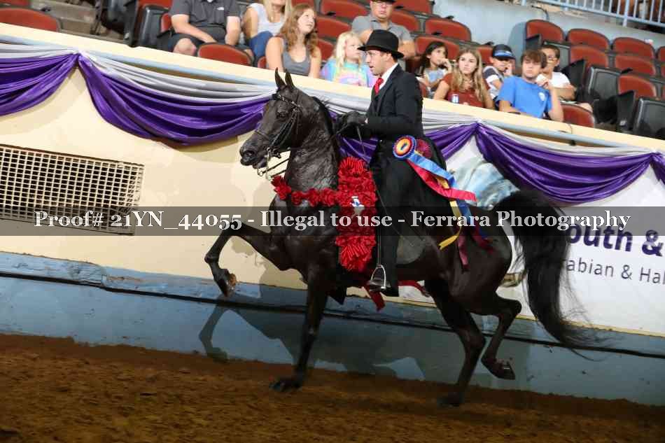 Proof Number 21YN_44055