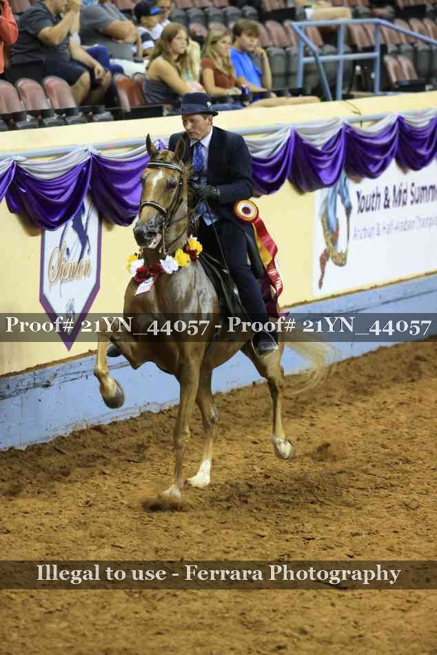 Proof Number 21YN_44057