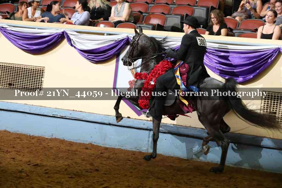 Proof Number 21YN_44059