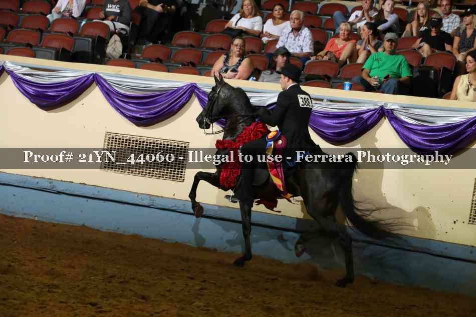 Proof Number 21YN_44060