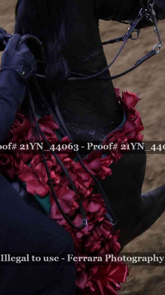 Proof Number 21YN_44063