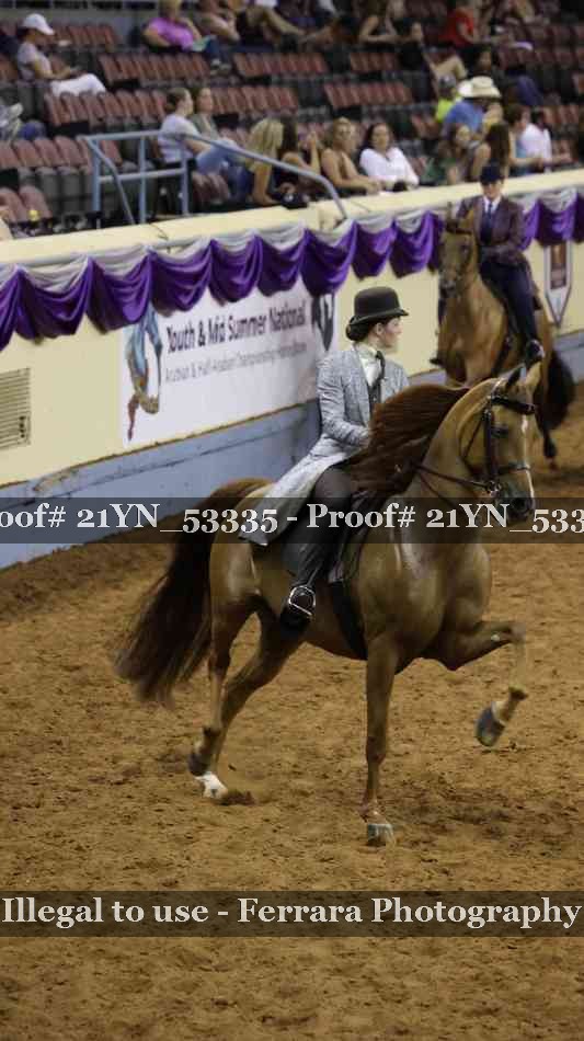 Proof Number 21YN_53335