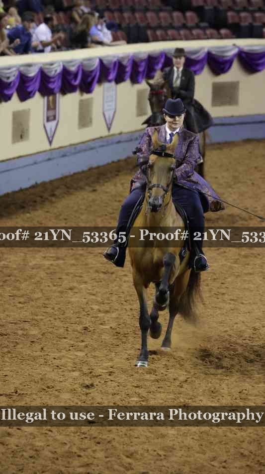Proof Number 21YN_53365