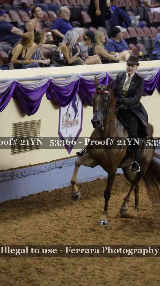 Proof Number 21YN_53366