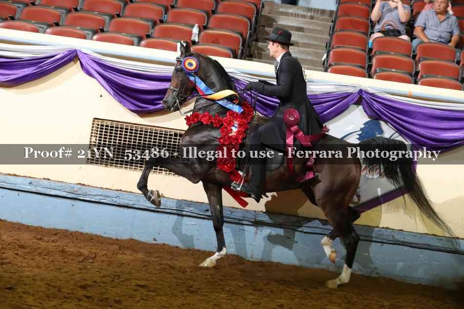 Proof Number 21YN_53486