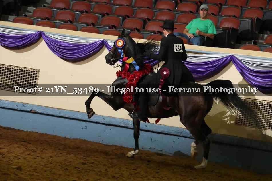 Proof Number 21YN_53489