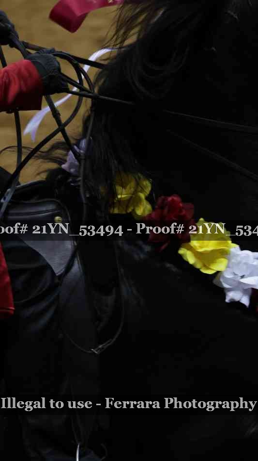 Proof Number 21YN_53494