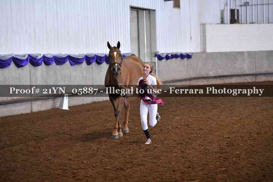 Proof Number 21YN_05887