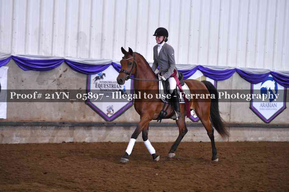 Proof Number 21YN_05897